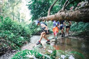 BIB: 
                            <button type="button" onclick="openModal(25458630)" class="btn btn-primary btn-sm float-right btn-popup" data-toggle="modal" data-target=".modal-high-quality">
                        <i class="fas fa-shopping-cart"></i> Add to Cart
                    </button>
                                            <button type="button" onclick="isThisMe(25458630, true)" class="btn btn-success btn-sm float-right btn-popup btn-isme hidden" data-toggle="tooltip" data-placement="bottom" title="นี่คือรูปของคุณใช่ไหม คลิกที่นี่เพื่อเอาเข้าอัลบั้ม">
                        <i class="fas fa-plus"></i> Add to album
                    </button>
                    <button type="button" onclick="isThisMe(25458630, false)" class="btn btn-warning btn-sm float-right btn-popup btn-isnotme hidden">
                        <i class="fas fa-ban"></i> Remove from album
                    </button>